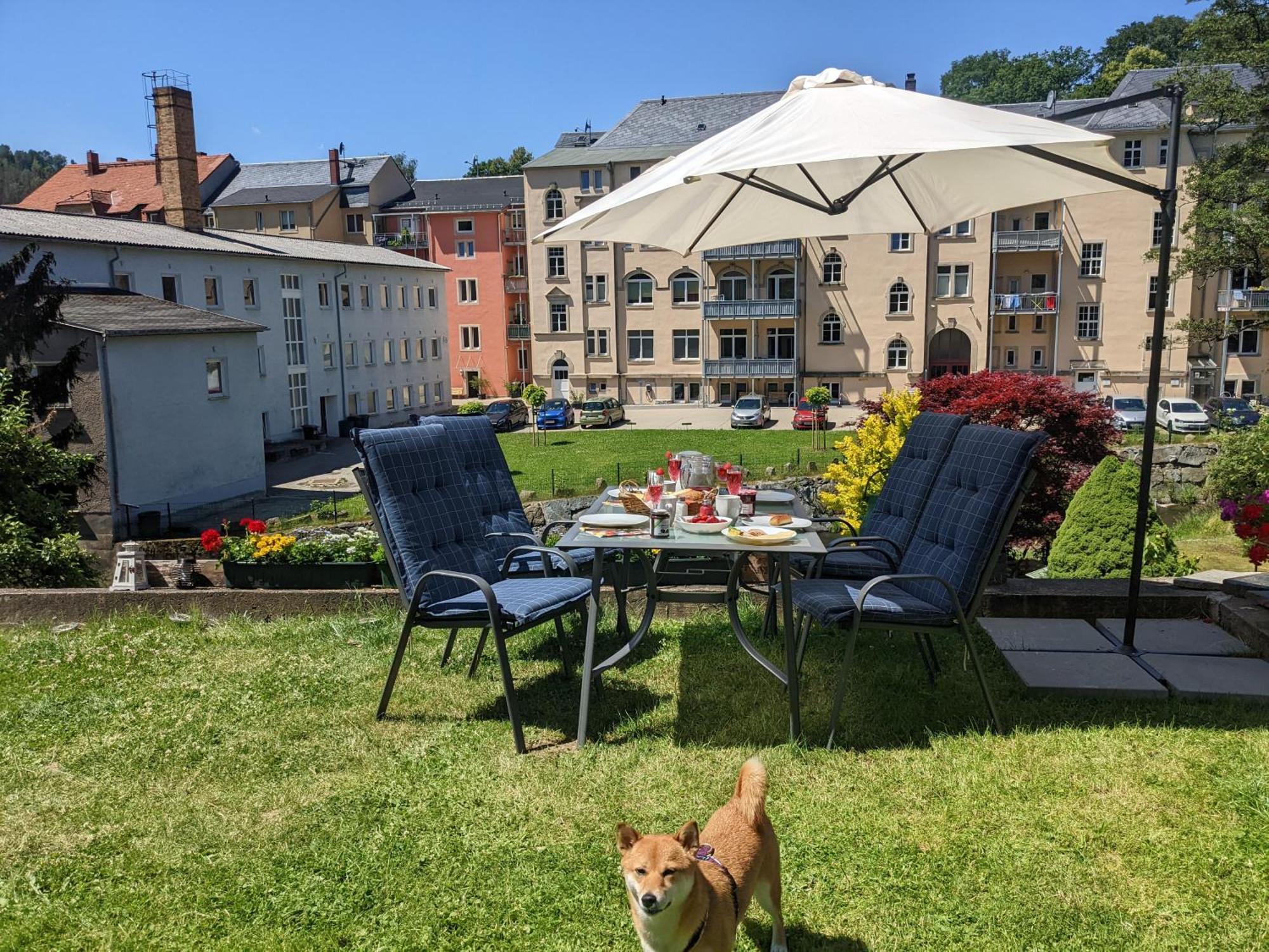 F2 - Urlaubsmagie Sauna, Whirlpool, Pool & Garten Sebnitz Exteriér fotografie